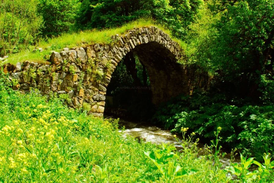 Shikahogh State Reserve Nature's Hidden Gem