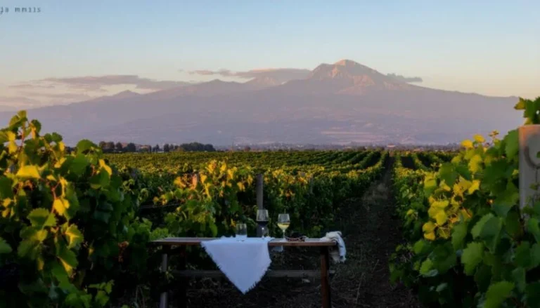 Exploring Armenia’s Wine Country: From Areni to Voskevaz